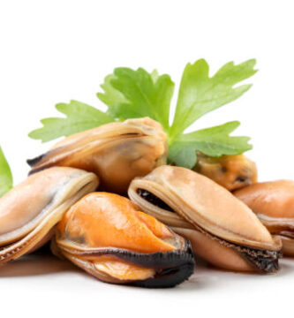 Descubre dónde comprar mejillones en lata de calidad