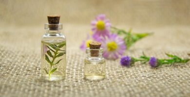 ¿Por qué es buena idea usar productos de CBD?