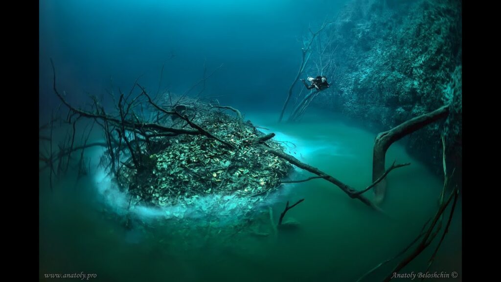 Explorando la Belleza Subacuática del Cenote Angelita en México 1 Explorando la Belleza Subacuática del Cenote Angelita en México