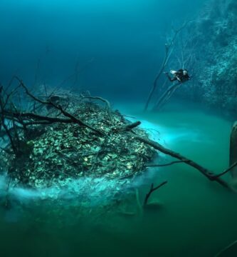 Explorando la Belleza Subacuática del Cenote Angelita en México 1 Explorando la Belleza Subacuática del Cenote Angelita en México