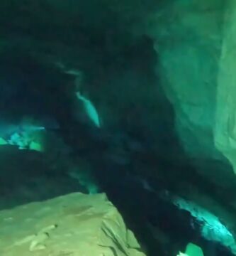 Descubre el encanto del cenote Dzonbacal