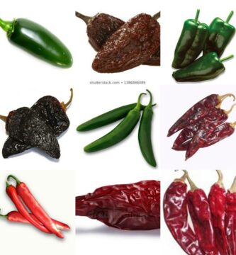 Guía Completa: Uso y Beneficios del Chile Serrano Seco