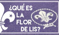 Explorando el Significado de la Flor de Lis Scout