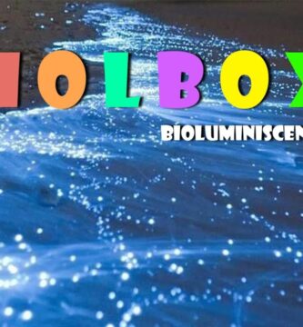 Explorando la Mágica Belleza de Holbox de Noche