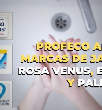 Descubre los Beneficios y Usos del Jabón Rosa Venus