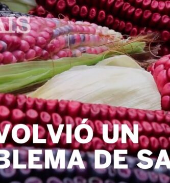 Descubre los increíbles beneficios del maíz rojo 1 Descubre los increíbles beneficios del maíz rojo