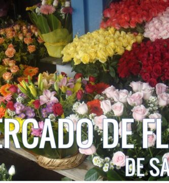 Explorando el Vibrante Mercado de Flores San Ángel
