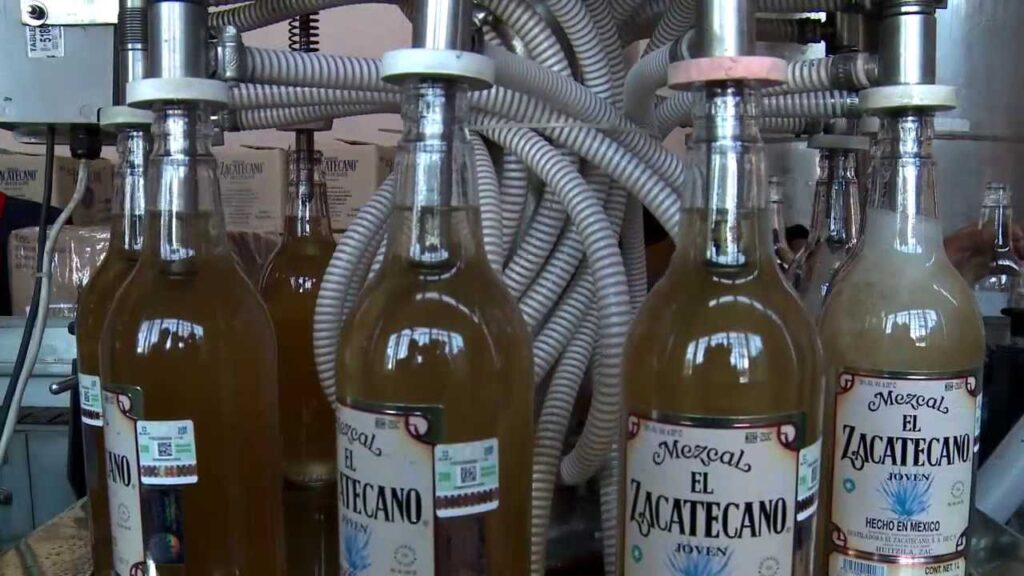Descubriendo el auténtico Mezcal Zacatecano: Guía completa 1 Descubriendo el auténtico Mezcal Zacatecano: Guía completa
