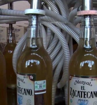 Descubriendo el auténtico Mezcal Zacatecano: Guía completa