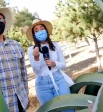 Beneficios y Usos de la Miel de Maguey