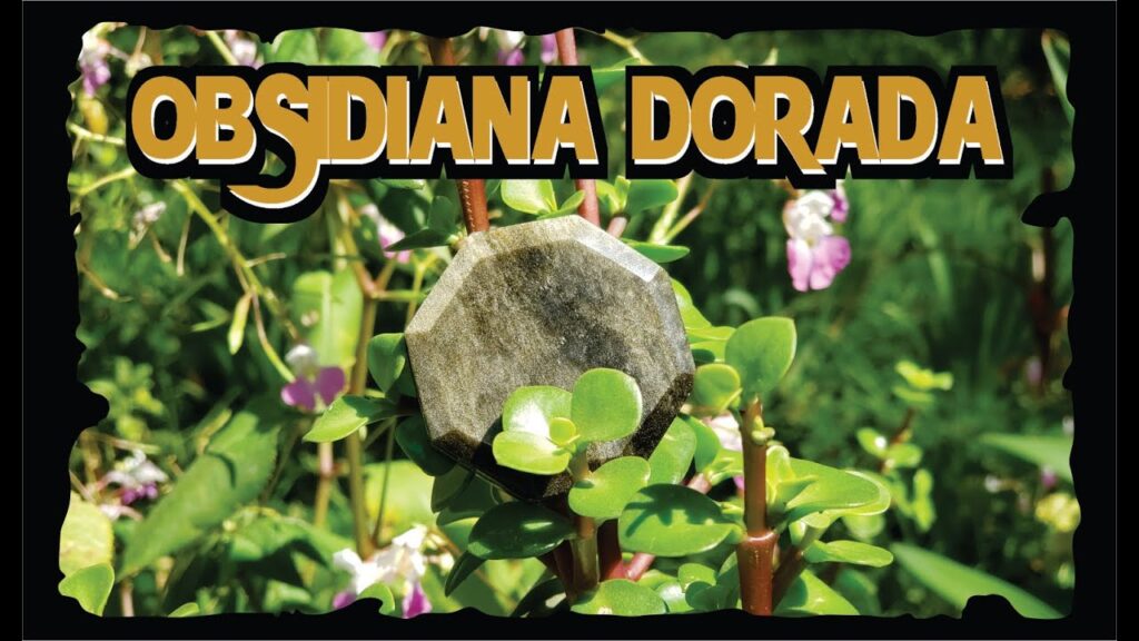 Guía Completa Sobre la Rara Obsidiana Dorada 1 Guía Completa Sobre la Rara Obsidiana Dorada