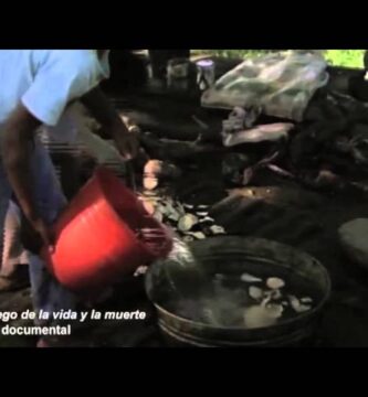 Usos Creativos e Inesperados de la Pelota de Hule