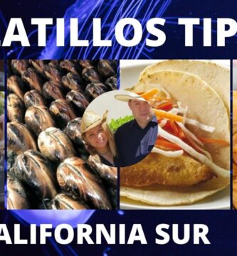 Descubre 10 Platillos Típicos de Baja California Sur