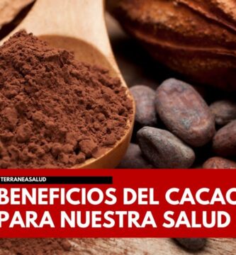 Beneficios y Usos de la Semilla de Cacao