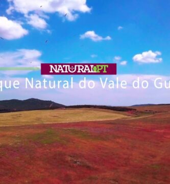 Explorando el encanto turístico del Valle de Guadiana