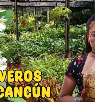 Guía completa para elegir los mejores viveros de plantas