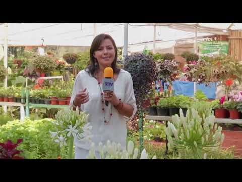 Mejores Viveros en Veracruz: Guía Completa 2021 1 Mejores Viveros en Veracruz: Guía Completa 2021