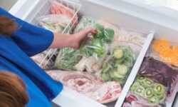 Todo lo que necesitas saber para elegir la congeladora perfecta que transformará tu forma de conservar alimentos