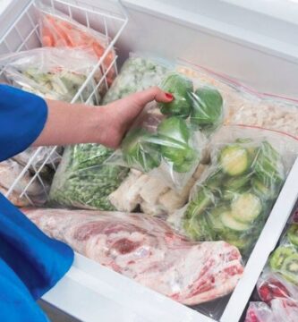 Todo lo que necesitas saber para elegir la congeladora perfecta que transformará tu forma de conservar alimentos