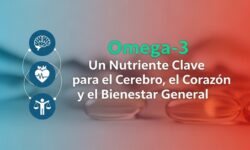 Omega 3: Nutriente Clave para Cerebro, Corazón y Bienestar General