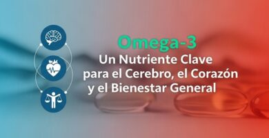Omega 3: Nutriente Clave para Cerebro, Corazón y Bienestar General